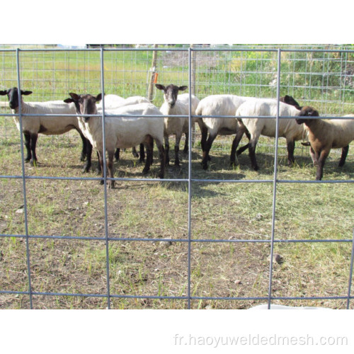 Mesh de soudage par fil galvanisé à chaud